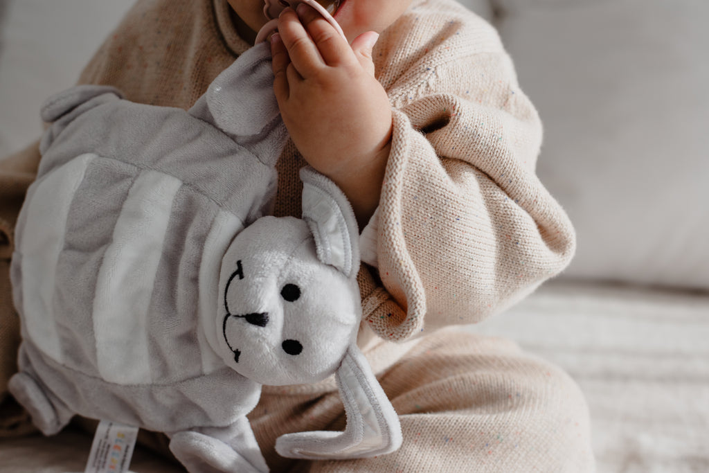 Sleepytot & Safe Sleep