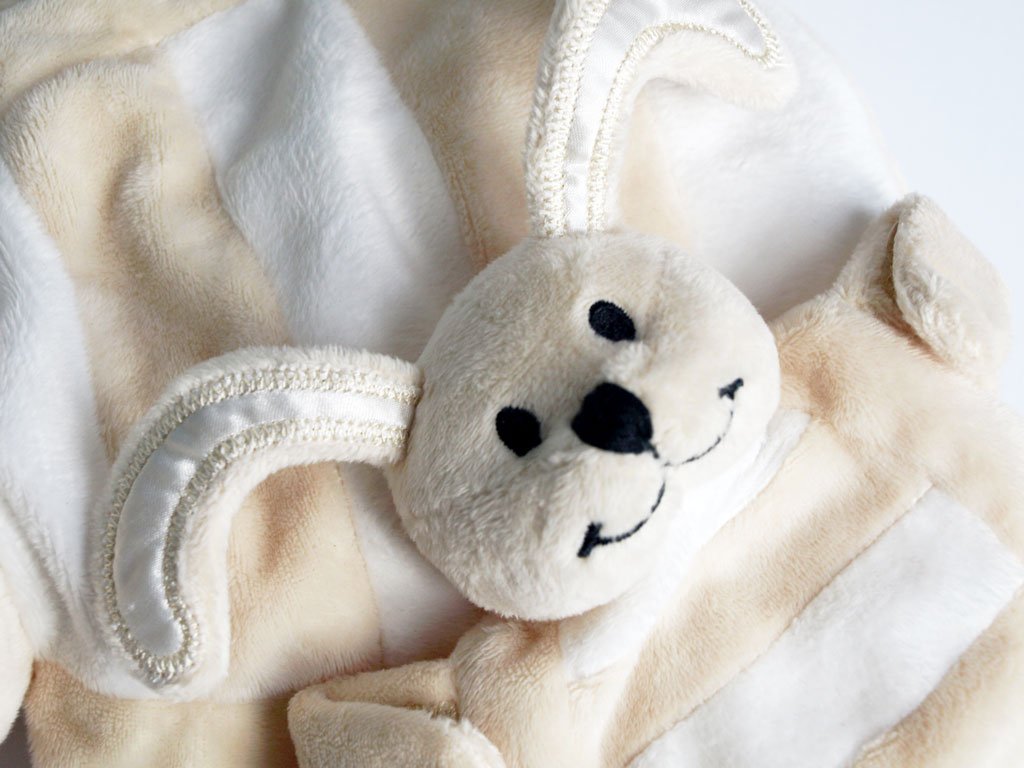 What’s So Special About The SleepyTot Baby Comforter?